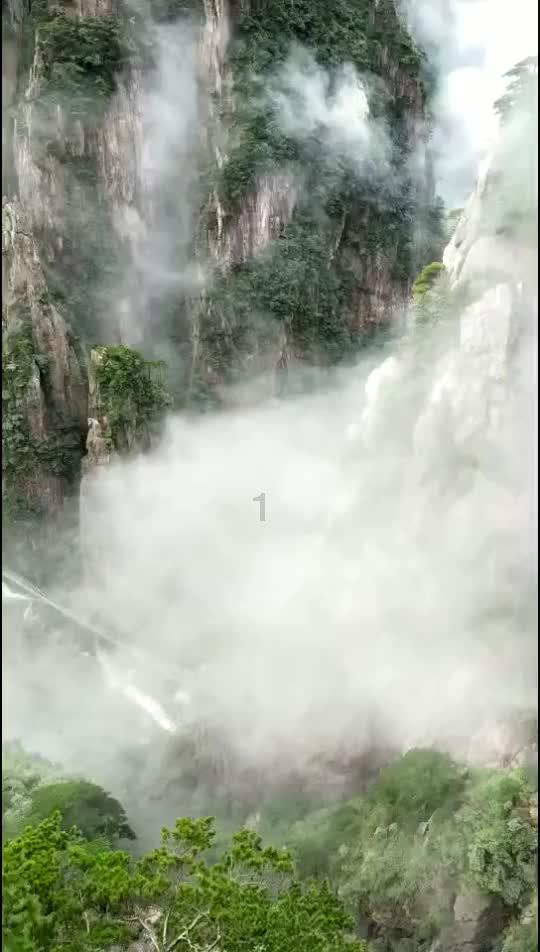 公主的夏季舞会